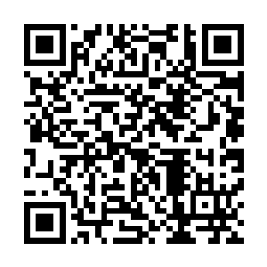蓝色当中夹杂着乳白色的火焰转瞬间将噶尔得燃烧成了人碳二维码生成