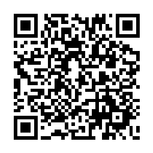 蓝色方的锤石首先向正在兵线前跳舞的薇恩出钩二维码生成