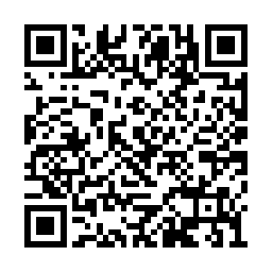 蓝色的星力很快就融入到了他们的四肢百骇之中二维码生成