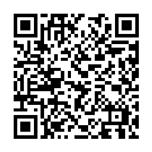 蓝莓基地的事你最好在合适的时候给林书记提个醒二维码生成