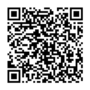 蓝蓝就帮小雅打那个王强……那个王强要叫其他小朋友一起打蓝蓝二维码生成