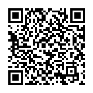 蓝蓝这才将绣好的百寿图用剪刀仔细的修整了一下二维码生成