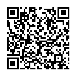 蓝衣年轻人被张小凡的打法给压制的一直前进不得二维码生成