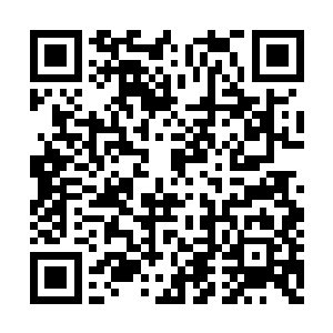 蓝袍弟子对于刘宇的态度和其他人有很大的不同二维码生成