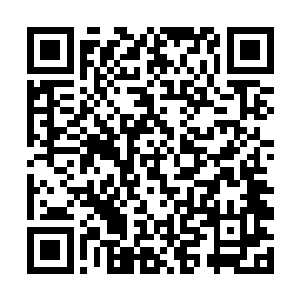 蓝语武君山武和九天玄女的目光纷纷聚焦在唐铮脸上二维码生成