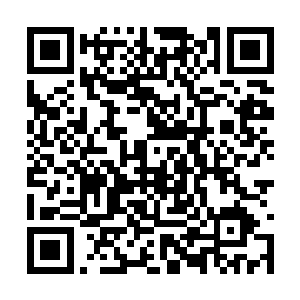 蓝龙和白龙都已经无法继续维持高等变形术的效果二维码生成