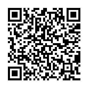 蔓延到了巨神兵乃至强化套装的每一个法宝构件和每一座符阵二维码生成