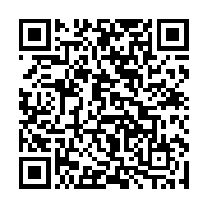 蔡亚琴看了一眼丈夫嘴角挂着一抹不为人觉察的笑意二维码生成