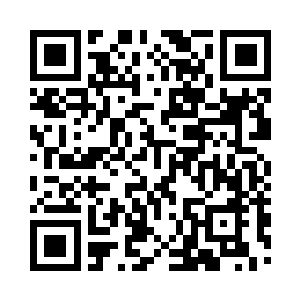 蔡合等三人虽然与杨开同样是圣王三层境二维码生成