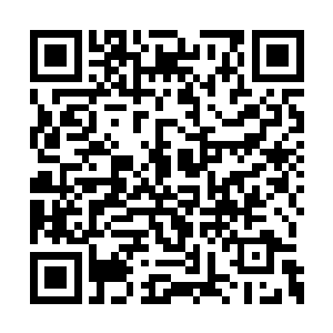 蔡姐一厢情愿地想让她儿子王志成拉徐尚秀出门二维码生成