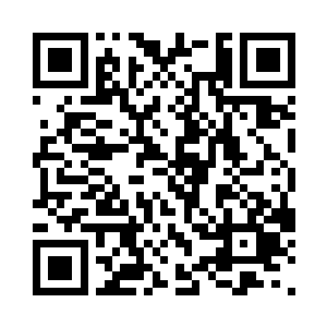 蔡氏姐弟如今如无意外应该还是稳住了二维码生成