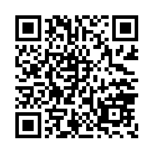 蔡老爷子赠送给我东南航空公司20%的股票二维码生成