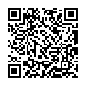 蕊蕊则是一把屎一把尿地亲自照料着刚出生的小小元二维码生成