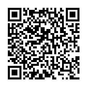 蕴含着绝世强者和荒古凶兽尸身腐烂后所散发出来的气息二维码生成