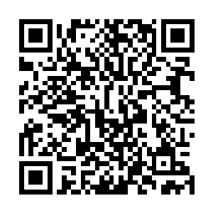 蕴含风火雷电多种三千大道的长枪犹如流星一般攻向临风秀二维码生成