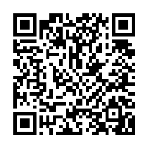 蕴藏着数百种武器和维修工具的机械手臂被库巴大君硬生生撕裂二维码生成