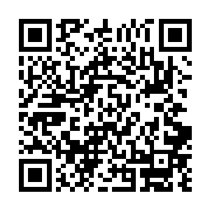 蕾切尔扮演的伊芙琳是个性格开朗并很有想法办法的女孩二维码生成