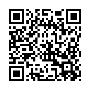 蕾妮一直不是美女――如果她很美二维码生成