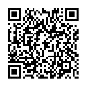 薄如蝉翼的睡裙在灯光的映照下几乎呈现出透明二维码生成