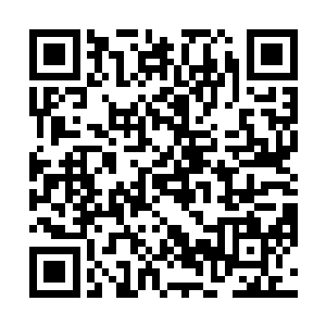 薄而均匀的果皮好像一条红布条一样从苹果上垂落下来二维码生成