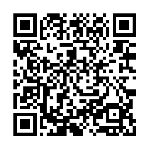 薛世昀蹙眉看着陆锦阳手中的卷宗却是没有接过二维码生成