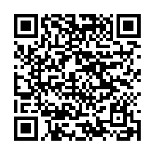 薛子轩已经不记得今天是第几次被父母禁锢了自由二维码生成