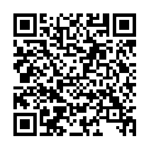 薛炎自然相信有可能是其他域过来的二星宗门弟子二维码生成