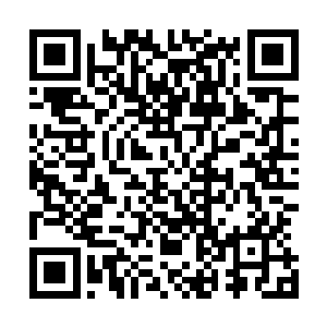薛静依显然忘了自己十六年里都是过着怎样奢华舒适的生活二维码生成