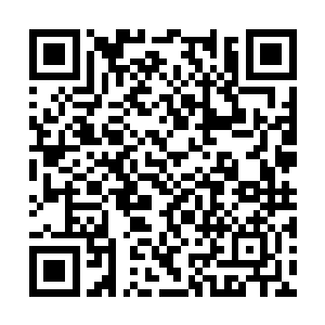 藏书的地方不应该是那个――锁了门的那个地方吗二维码生成