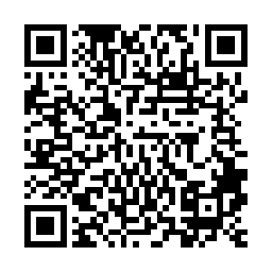 藏在下面的被四周火焰撩拨的白子良迅速伸出一只妖臂抓了大印二维码生成