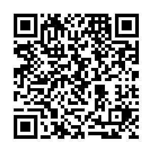 藏在心里十多年的话喊出来以后乌灵感觉格外的畅快二维码生成
