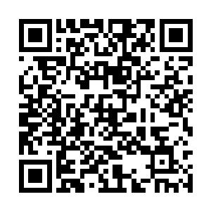 藏身于血脉或者神体之中的世界之力就会爆发出来二维码生成