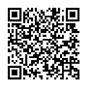 藤田一夫正在看和湖西市政fu要签订的投资建厂合约二维码生成