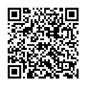 藤蔓缠绕的法杖上居然镶嵌着如心脏般跳动的红色龙晶二维码生成
