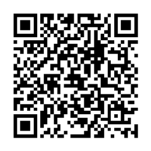 藤野先生为什么一定要追着这个无聊的问题不放呢二维码生成