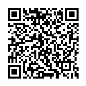 虎乘风几人的绝招已然杀到了老者雨十七的身前二维码生成