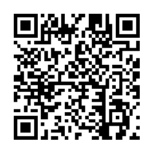 虎力大仙等人几案上盘子里装有的碧罗果有七八个之多二维码生成