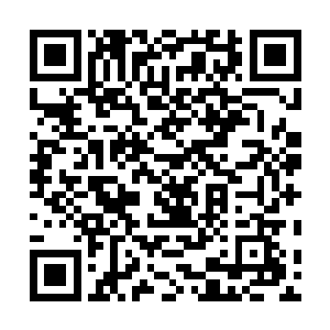 虎啸天顿时看了看紫龙在看了看身后的所有小弟顿时说道二维码生成