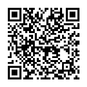 虎啸家族的现任家主修炼的是什么功法你又不是不知道二维码生成