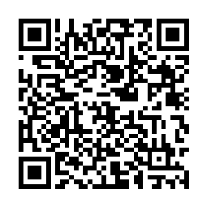 虎城的城主是想要将下一任的城主之位交给元帅啊二维码生成