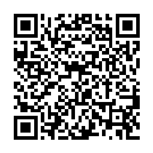 虎头刚冲父母做了个羞羞的动作就被小熊拎到了后面二维码生成