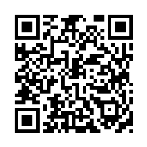 虎头和小狮子并不知道林成秀心中的想法二维码生成