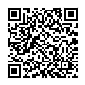 虎头和小狮子快速的一人扛着一块舢板搭上对方的船二维码生成