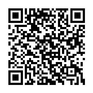 虎头和小狮子闻言忙把他们的食盒和布包给拎上二维码生成