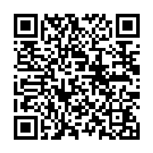 虎帝狼康利斯已经完全忘记了佣兵之城结界之灵的威胁二维码生成