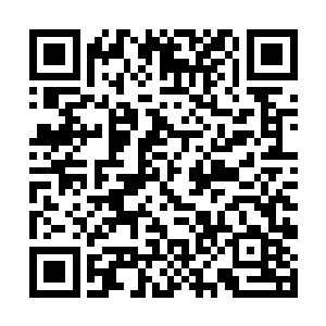 虎狼斩月海盗头子立马恭恭敬敬的递上特质的望远镜二维码生成