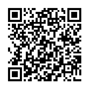 虎禅真君传授的引动法则之法・他们的古魔道都可以二维码生成