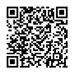 虎禅真君始终没有说金圣真一修炼的众生林名字二维码生成