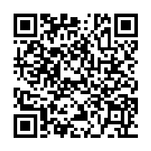 虎背熊腰的黑衣首领看着宴客厅里这群平日里高高在上二维码生成