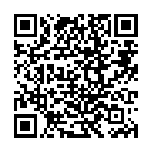 虎蛟族并没有战卒配合凝聚杀戮大势而成杀戮战魂二维码生成